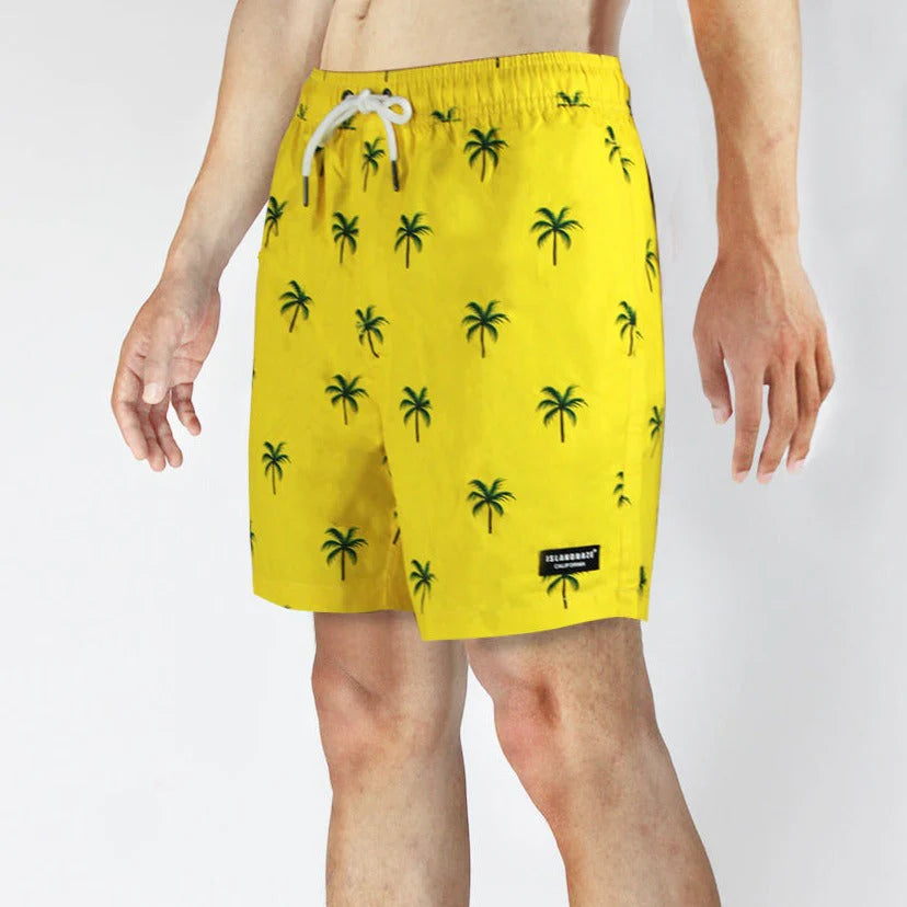 Island Haze Men s 6 Printed Volley La Jolla Swim and Sport